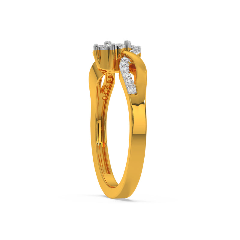 Two Composite Twist Ring
